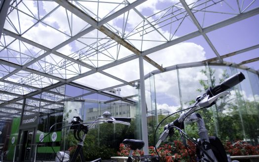 Local 1 – Bulevar Charles Darwin